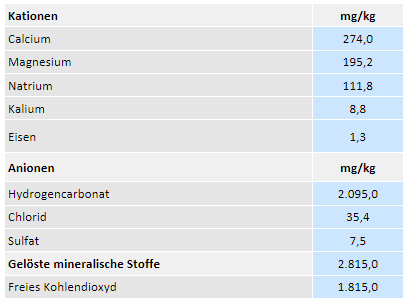Stadtquelle Bad Radkersburg Thermalwasser Analyse